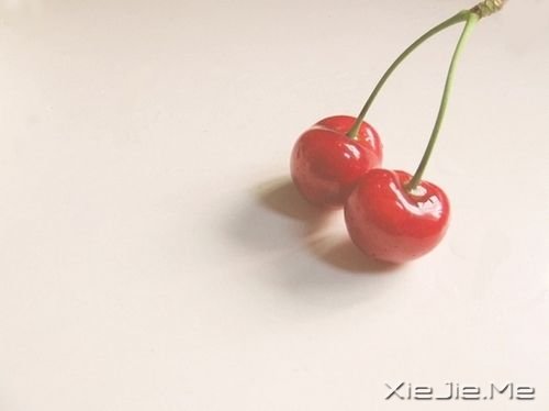 �簲������������̣�ֻ��� (10)