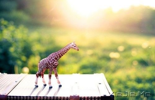 �����������Լ�������Ҫ��ǿ (1)