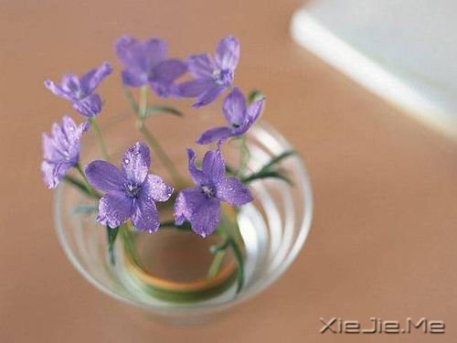 ����������ñ�������������ഺ (1)