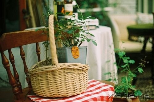 �簲������Ҷ���Խ��Խ��òʱ�����ǻ�����Խ��Խİ���� (10)