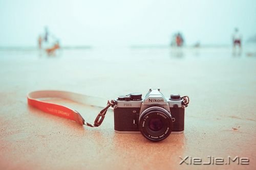 早安心语:没有人能给你光明,除了你自己 (9)