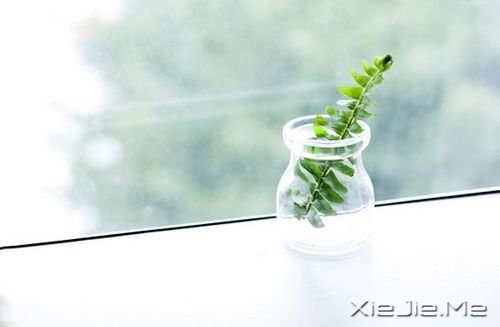 早安心语:没有人能给你光明,除了你自己 (10)