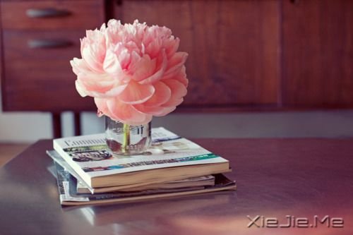 早安心语:人们往往只相信他们愿意相信的东西 (8)