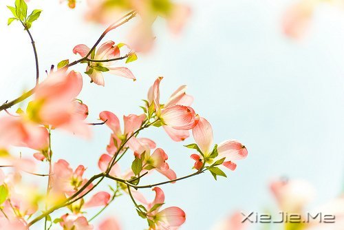 ������¼��������Թ���磬����ı��Լ� (2)