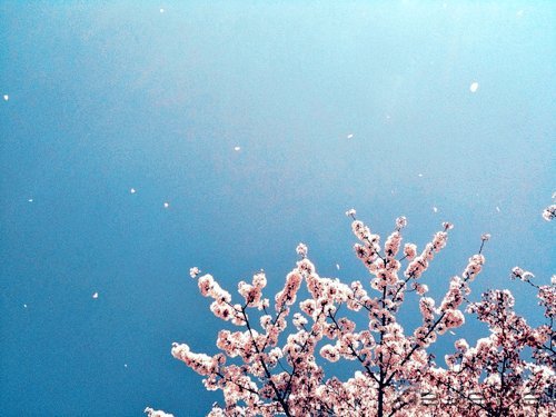 经典语录:一个人的天荒地老 (1)