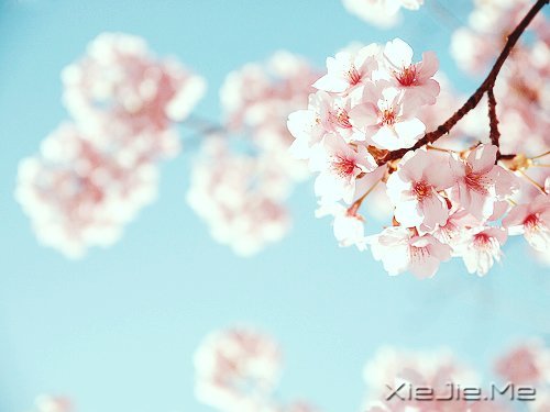 文字:逼格太高的人,不适合相亲