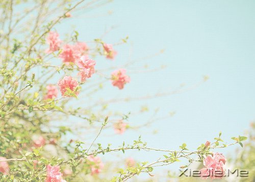 那些爱到底去了哪里