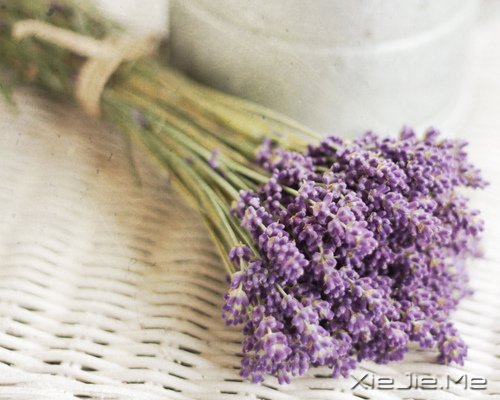 ��ͷ�ӣ���Ҫ���ˣ������Ұ�