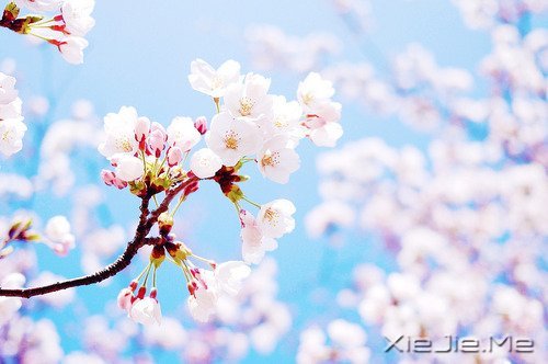 ������Լ���10��Լ�� (1)