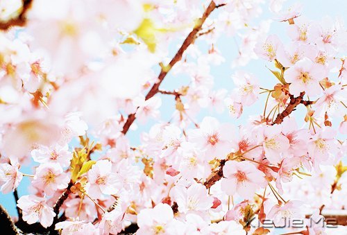 经典语录:50条超美的句子 (2)