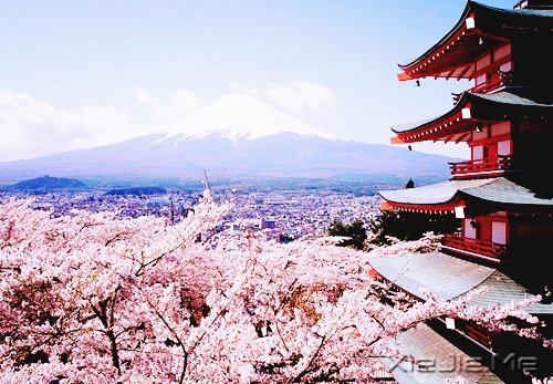 经典语录:50条超美的句子 (3)