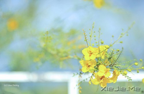 做好自己不留任何遗憾 (5)