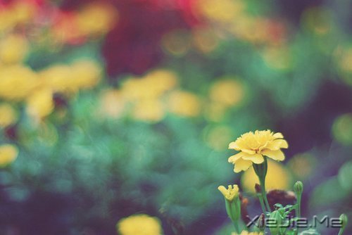 做好自己不留任何遗憾 (8)