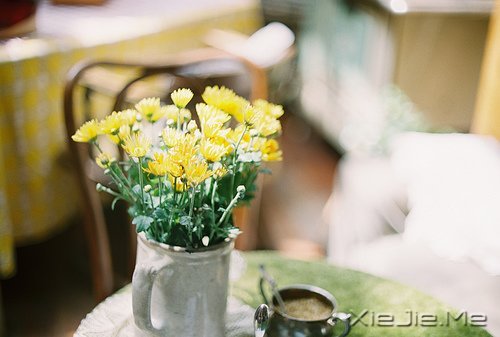 �Լ�ϲ�������ӣ��������������� (5)