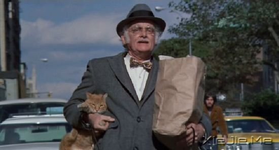 ����è���9�������Ӱ�Ƽ� (5)