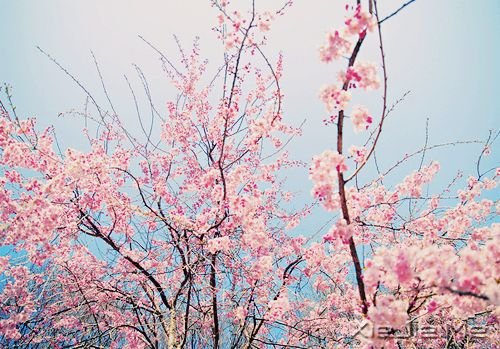 你应该停止期待的9件事