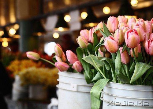 如何缓解压力的18个方法