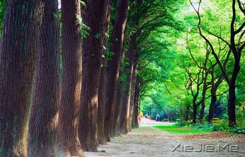 生命中最难的,是你不懂自己