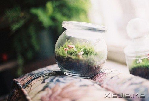 文字:临终病人最后悔的5件事