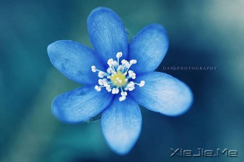 越长大越孤单 (2)