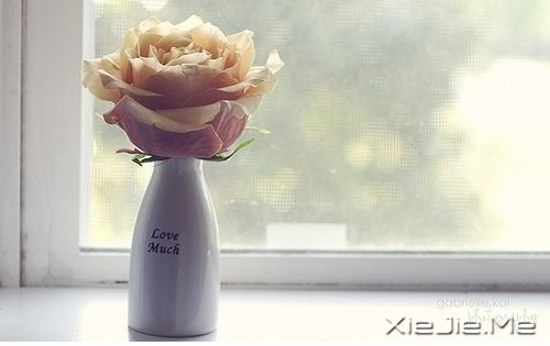 ���㻹���ഺ��ʱ�򣬱�ں��ഺ