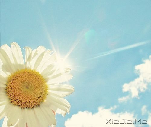 �ɹ�·�ϵ�ʮ����