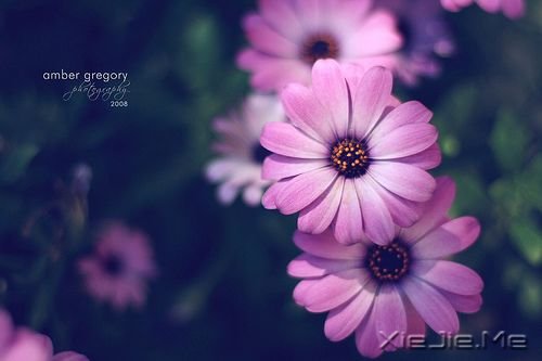 只要自己努力就好 (4)