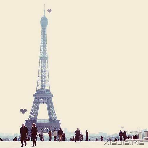 ������һ�ŵ��̳�Ʊ